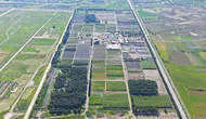 Manisa ormanları için fidan mesaisi hız kesmiyor