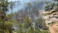 Fethiye Göcek ormanlarında alevlerle amansız mücadele