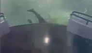 Haliç'teki tur teknesi kazasında ihmal kameraya yansıdı