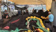 Tekirdağlı balıkçılar ağlarını onarıyor Bu sezon palamut bereketi kapıda