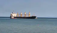 Tekirdağ açıklarında çeltik yüklü dev gemi karaya oturdu