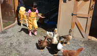 Erzurumdaki anaokulu çocukları dört duvar arasından çıkarıp ormana taşıdı