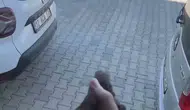 Bingöl’de apartman boşluğunda mahsur kalan kuş kurtarıldı