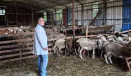 Kocaeli’de hayvancılık desteği sahada denetleniyor