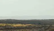 Derik arazilerinde yükselen alevler havadan ve karadan durduruldu