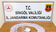 Bingöl’de jandarma baskınları ile suçlular yakalandı