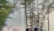 Bursa Karacabey ormanlarında korkutan yangın