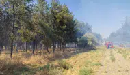 Dicle Üniversitesi kampüsünde korkutan dumanlar