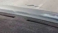 Eskişehir yolunda yılan trafiği durdurdu