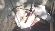 Edirne’de kuyuya düşen kuzu için seferberlik