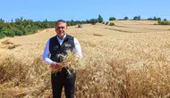 Bilecik çiftçisinin buğday mesaisi başladı