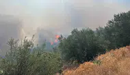 Ayvacık’ta rüzgarın körüklediği yangın ormanlık alana sıçradı