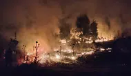 Şırnak’ta hasat vakti büyük kayıp