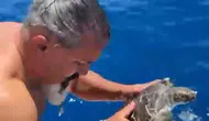 Alanya açıklarında çuvala dolanan caretta caretta son anda kurtarıldı