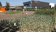 Şehrin göbeğinde minik çiftçiler toprağa dokundu