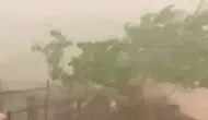 İpsala'da aniden bastıran dolu tarlaları vurdu