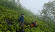 Rize’de sis yüzünden mahsur kalan turistleri ekipler kurtardı