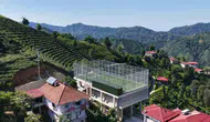 Rize’de yer kalmayınca çay alım yerini halı sahaya çevirdiler