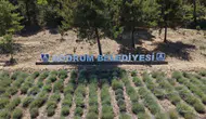 Bodrumlu gençler toprağı ve üretimi öğreniyor