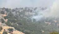 Diyarbakır Çüngüş’te alevler yaylaya sıçradı