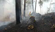 Muğla için orman yangını alarmı verildi