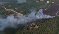 Tekirdağ'da anız yangını ormana sıçradı