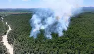 Çatalca’da orman yangını paniği havadan müdahaleyle dindi