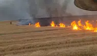 Silvan'da binlerce dönüm tarım arazisi küle döndü