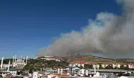 Çanakkale Saraycık köyünde orman yangını paniği