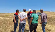 Burdur’da hasat mesaisi Biçerdöverlere sıkı denetim