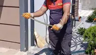 Yozgat'ta villa bahçesine giren yılan paniği