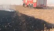 Batman'da alevler 150 dönümü küle çevirdi