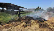 Hatay Kırıkhan’da çiftlik yangını korkuttu