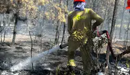 Kastamonu ormanlarındaki yangın kontrol altına alındı