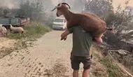 Seydikemer yangınında duygulandıran kurtarma anları