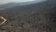 Seydikemer yangınında kül olan ormanlar havadan görüntülendi