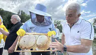 Yenice ıhlamur balı sezonu açıldı