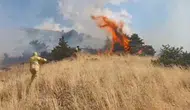 Bingöl Genç kırsalında çıkan yangın büyümeden durduruldu