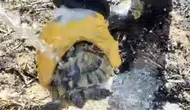 Çorum'daki yangında itfaiyecilerin şefkatli müdahalesi
