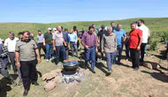 Bingöl’ün zirvesinde huzur rüzgarı esiyor