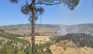 Balıkesir Dursunbey ormanlık alanında yangın paniği