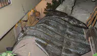 Sarıyerde fırtına çatıları yerinden söktü