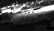 Ardahan’da gece vakti köy sokaklarını domuz sürüsü bastı