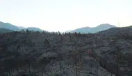 Muğla ormanları küle döndü 5 bin hektar alan yandı