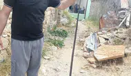 Siirt Dilektepe köyünde yılan istilası halkı sokağa çıkamaz hale getirdi