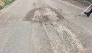Sivas’ta odunluğa giren yılan paniği