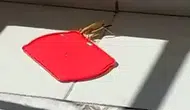 Burdur’daki balkonda çekirgeye su ikramı