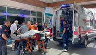 Karaman'da köpek saldırısı 3 yaşındaki çocuk hastanelik oldu
