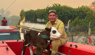 Gömeç yangınında bir hayat kurtuldu