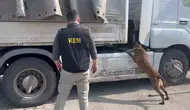 Şırnak'ta iki ayrı operasyonla 90 kilo uyuşturucu yakalandı